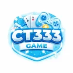 CT333 Game
