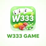 W333 Game