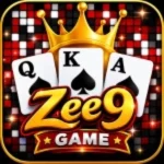 ZEE9 Game